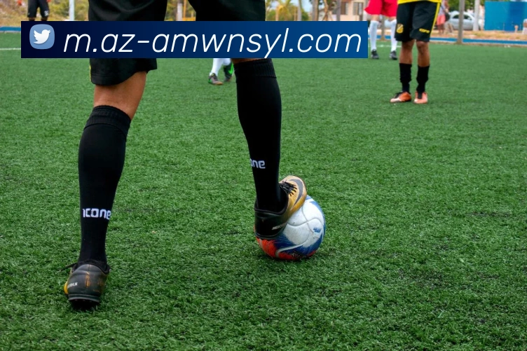 威尼斯人娱乐官网平台生态图