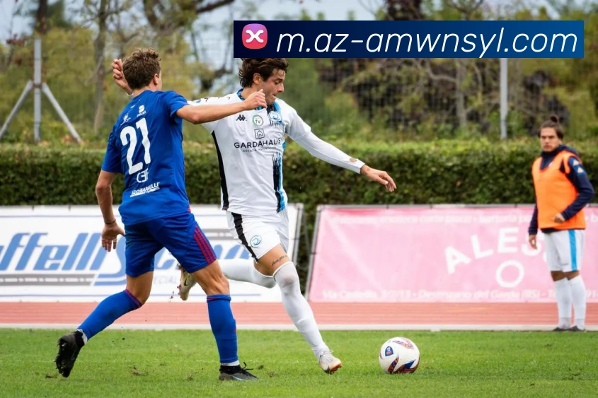 威尼斯人娱乐官网APP 封面图